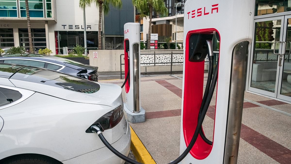 How Anthony Albanese's latest laws will force countless Aussies to start driving electric cars - and the new rules begin within DAYS
