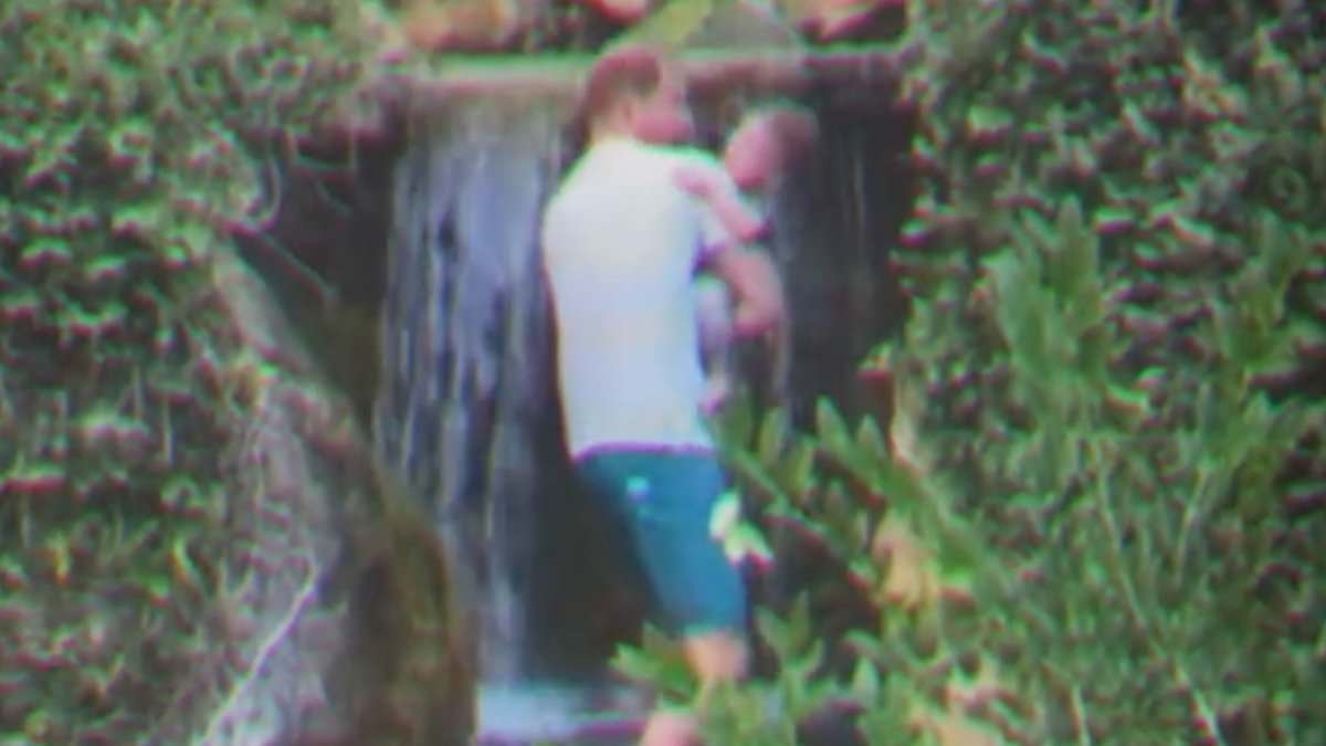 Meghan Markle shares most intimate glimpse of family life yet: Father's Day post shows clear views of Archie and Lilibet's faces in a raft of highly personal clips