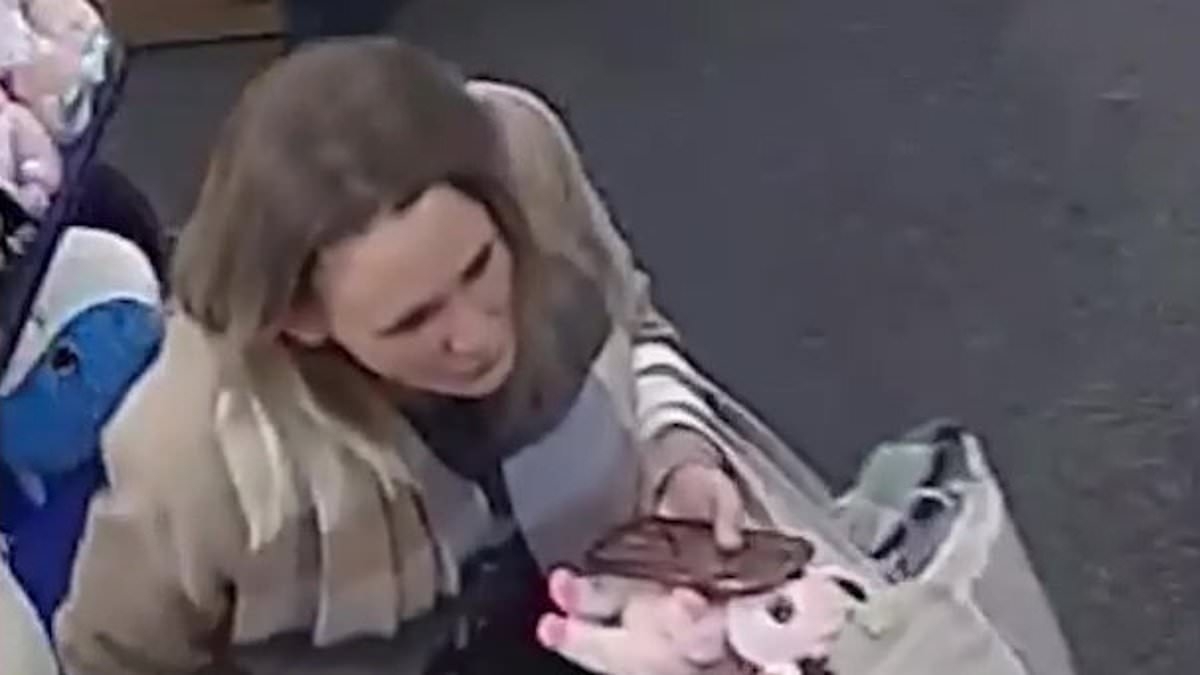 Moment shoplifting woman stuffs £400 worth of Jellycat toys down her trousers in audacious garden centre raid