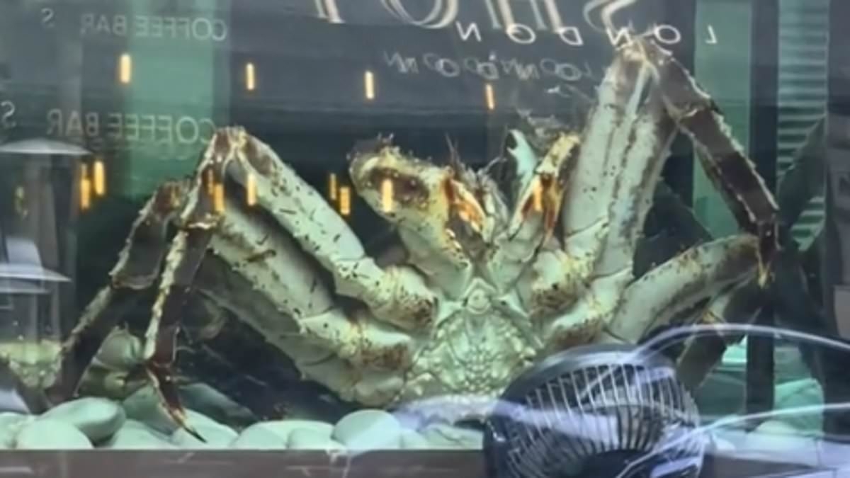 Exclusive London restaurant beloved by A-listers including Tom Cruise and Prince Harry leaves people horrified over 'inhumane' window display