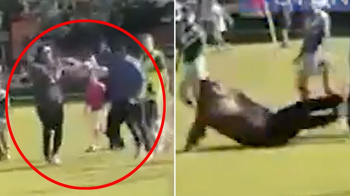 Parents' footy fight is caught on video at U10s match - and as the sad aftermath with one of their sons is revealed