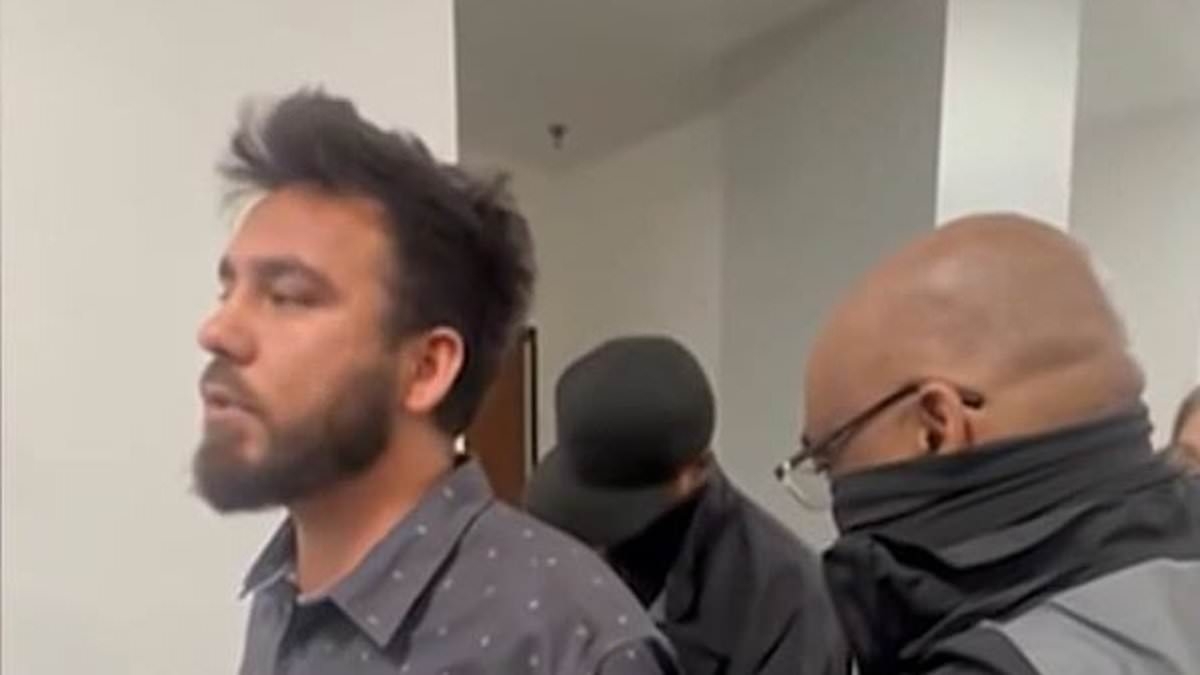 Dramatic moment 'Afghan interpreter who helped US troops' is apprehended by ICE in San Diego