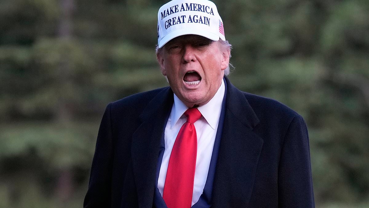 Trump's long list of grievances with Australia revealed: PETER VAN ONSELEN