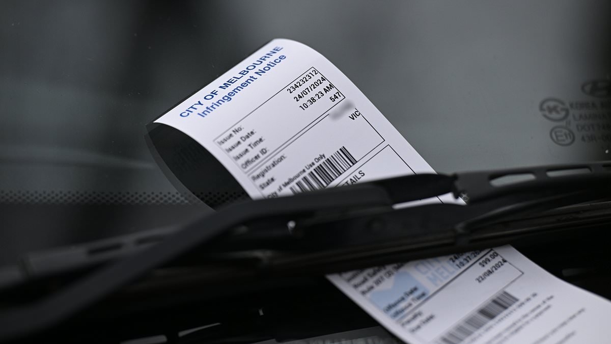 Hundreds of thousands of Australians wrongly given parking fines: How to get your money back