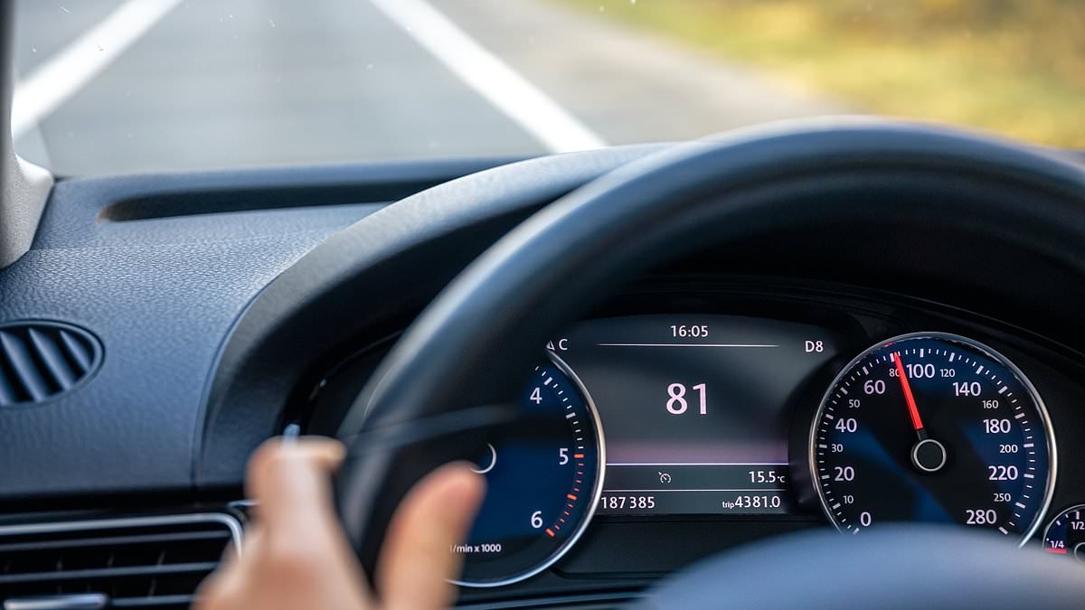 Urgent warning to drivers as scientists reveal essential car item is RIDDLED with germs