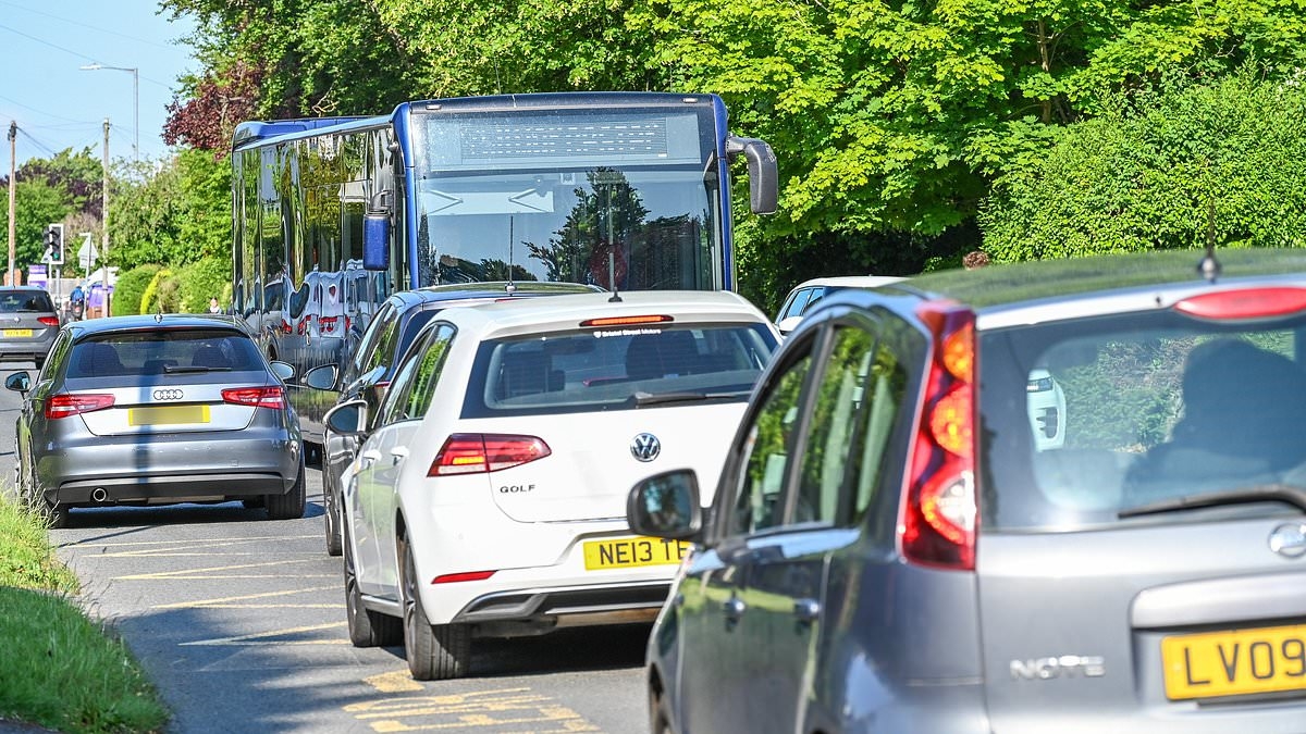 Furious homeowners in leafy road condemn 'bullying' parents on school run for blocking driveways and abusive rants