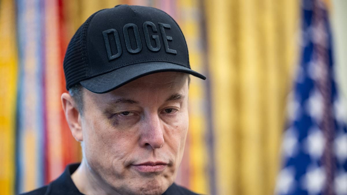 Elon Musk posts drug test results after alleged addiction ruined his gig at Trump's White House