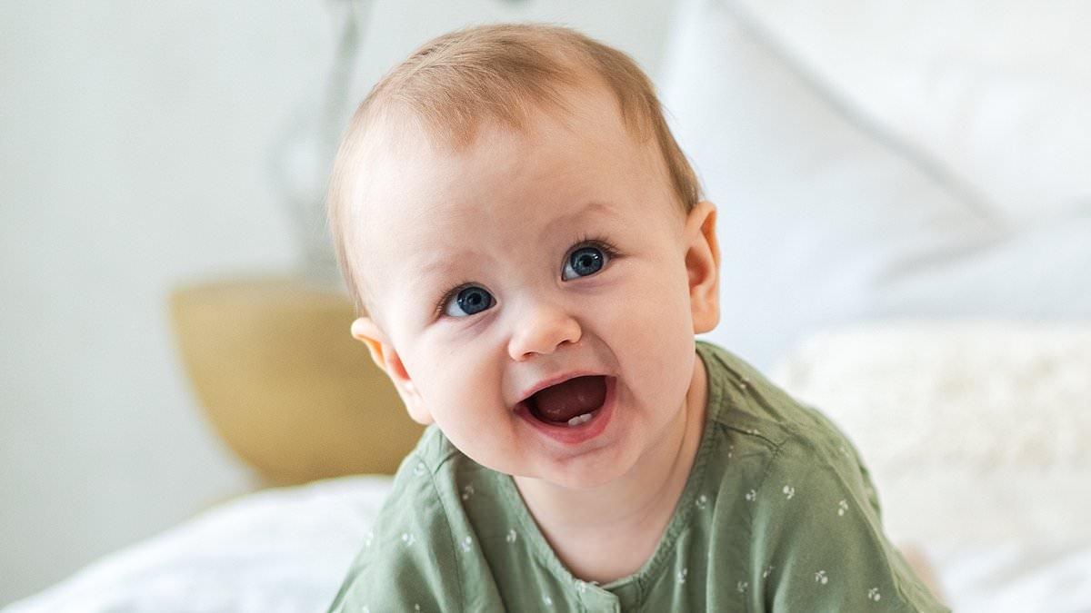 Much-loved high chair recalled amid major risk to your children