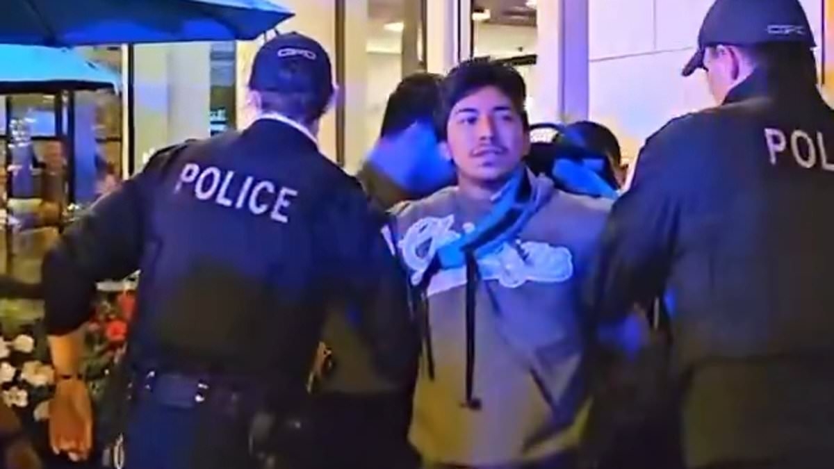 Astonishing number of Chicago cops it took to subdue pint-sized anti-ICE protester