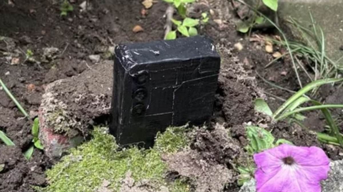 Warning over surveillance tactic leaving entire US neighborhoods in terror: Check your yard NOW