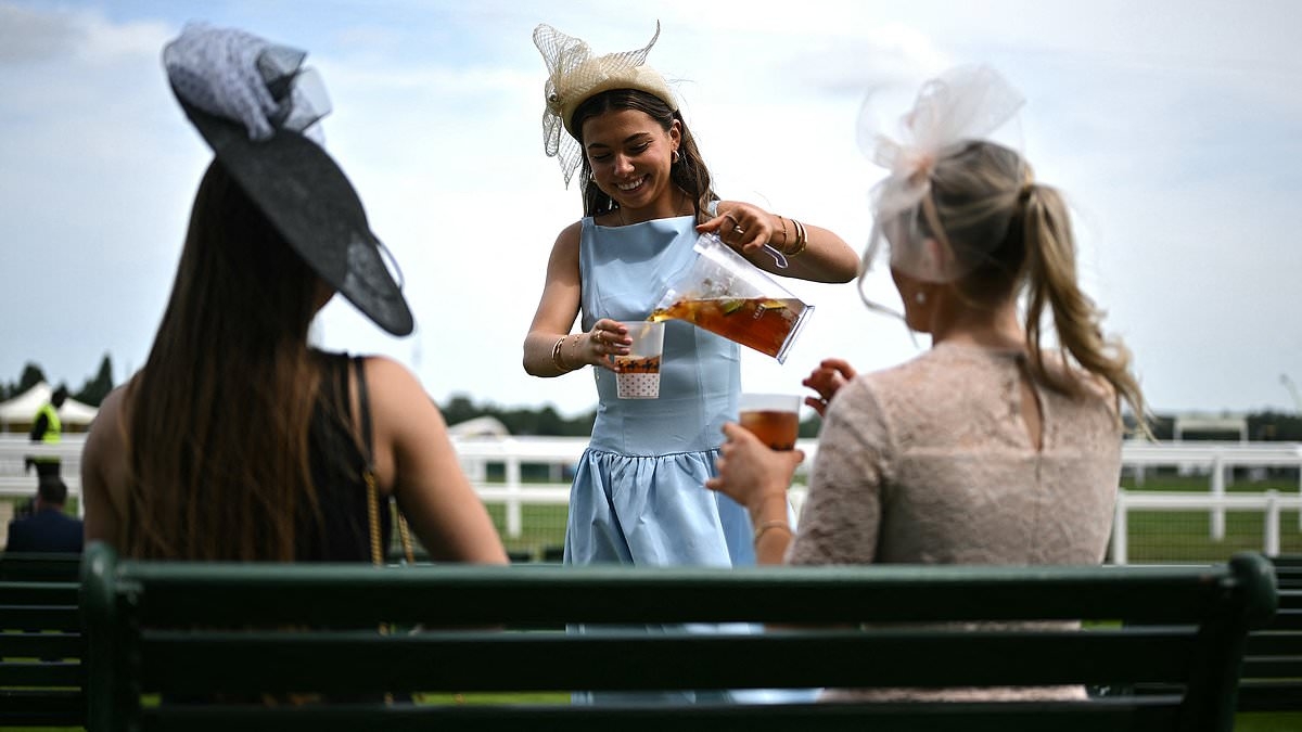 Revealed: Royal Ascot drink prices increase yet AGAIN - as one drink is on sale for £560