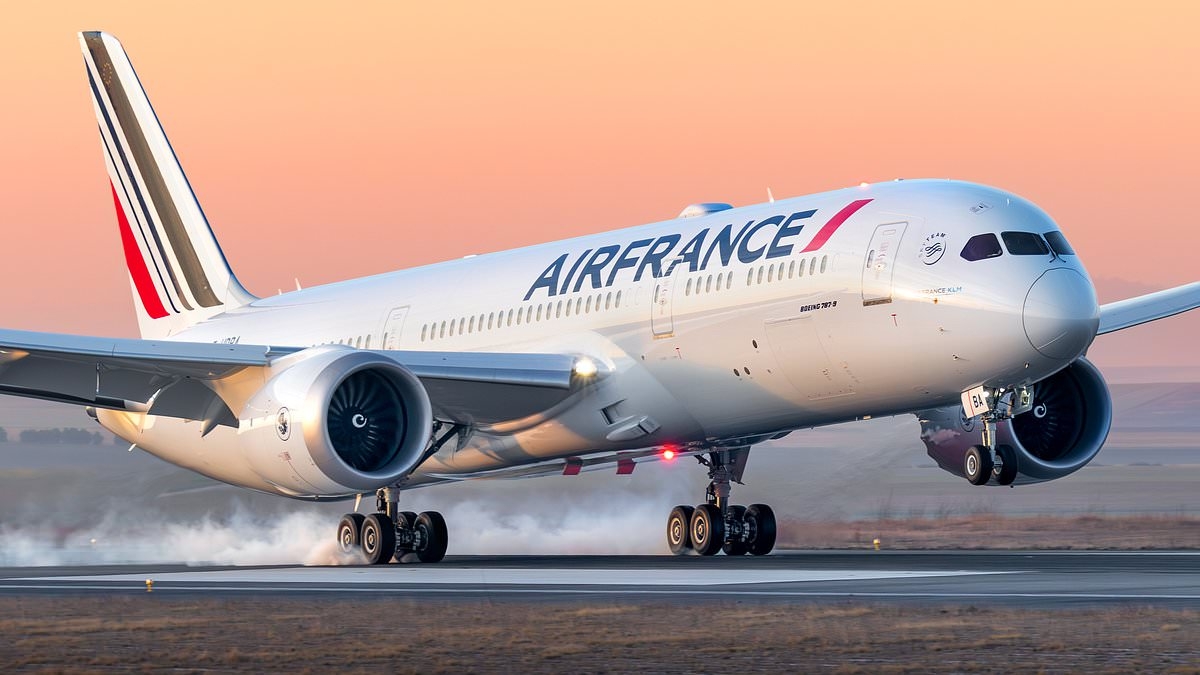 Bizarre odor sparks panic on long-distance Air France flight bound for Brazil