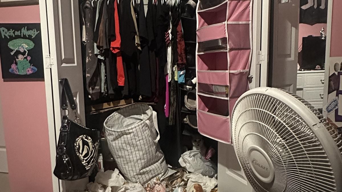 Mind-boggling photo of a messy room has a cat hidden in the carnage - can you find it in under 30 seconds?