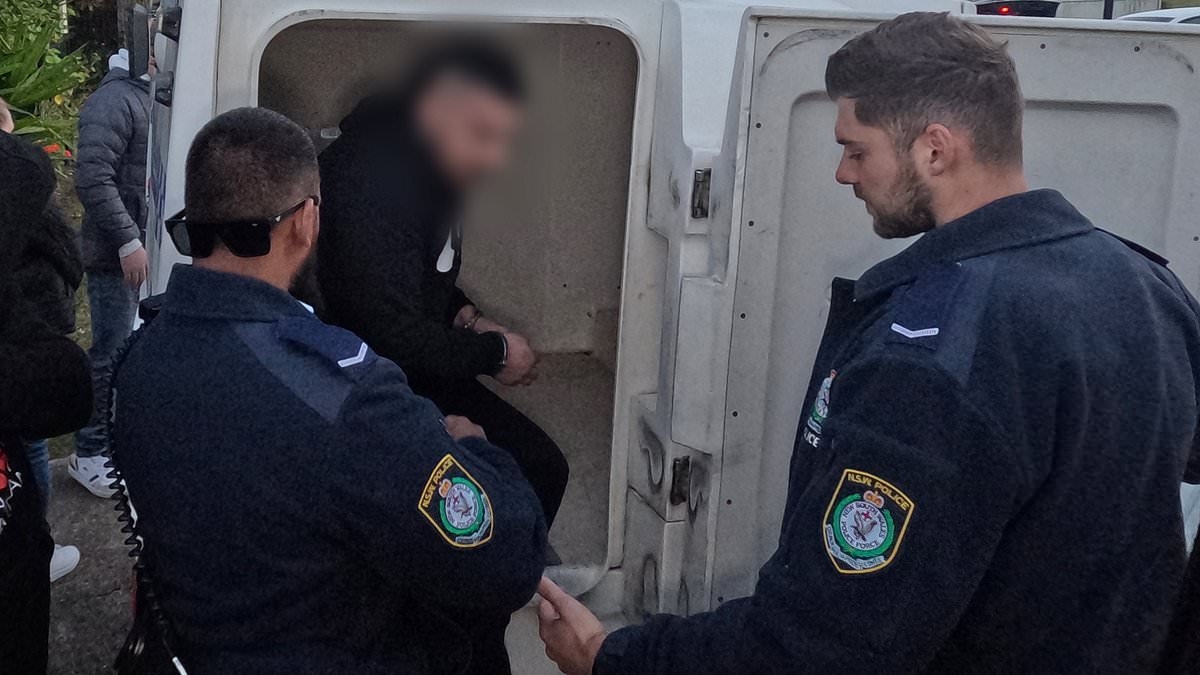 BREAKING NEWS Teenage girl allegedly sexually assaulted in sickening six-hour car ordeal by four males - including a 14-year-old boy in Sydney's west