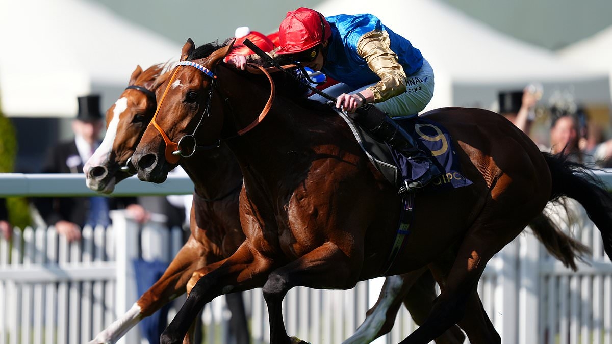 Robin Goodfellow's racing tips: Best bets for Wednesday, June 18