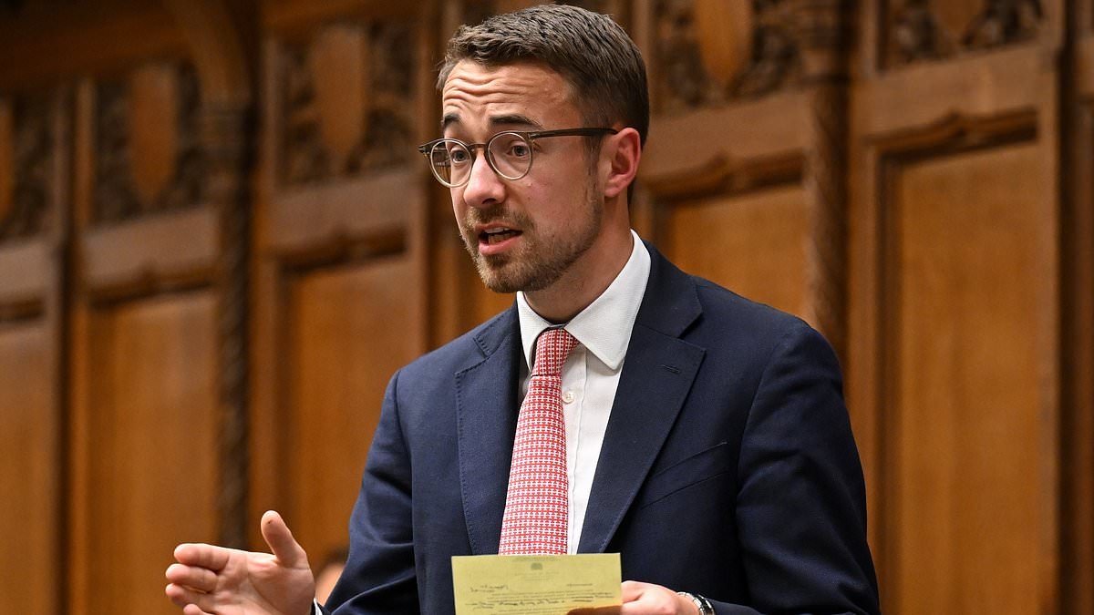 Labour MP says he's being 'intimidated by pro-Palestine protesters' who have hurled baked beans at him - and now the community 'is too scared to meet with him'