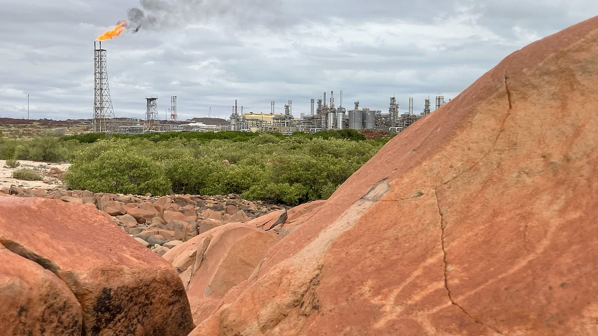 Aboriginal leader accuses activists of destroying heritage listing of ancient rock art with their 'inaccurate' claims about impact of gas project