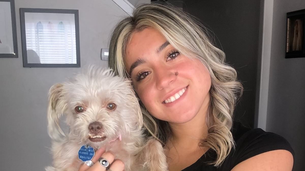 Nursing student detained by ICE after cop noticed she had 'a bit of an accent' during routine traffic stop