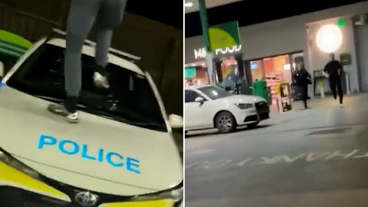 Moment brazen yobs livestream themselves smashing police car before speeding off on bikes as baffled officers run after them