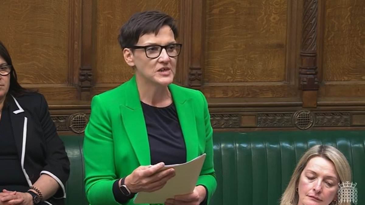 Campaigners vow to fight 'disastrous' abortion decriminalisation in Lords as Labour MPs force change through Commons after just two hours' debate