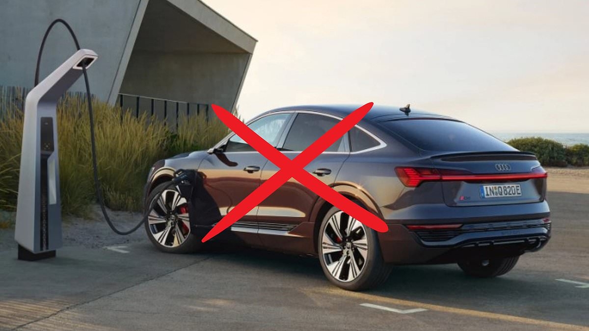 Another electric U-turn: German car giant scraps promise to end development of petrol engines