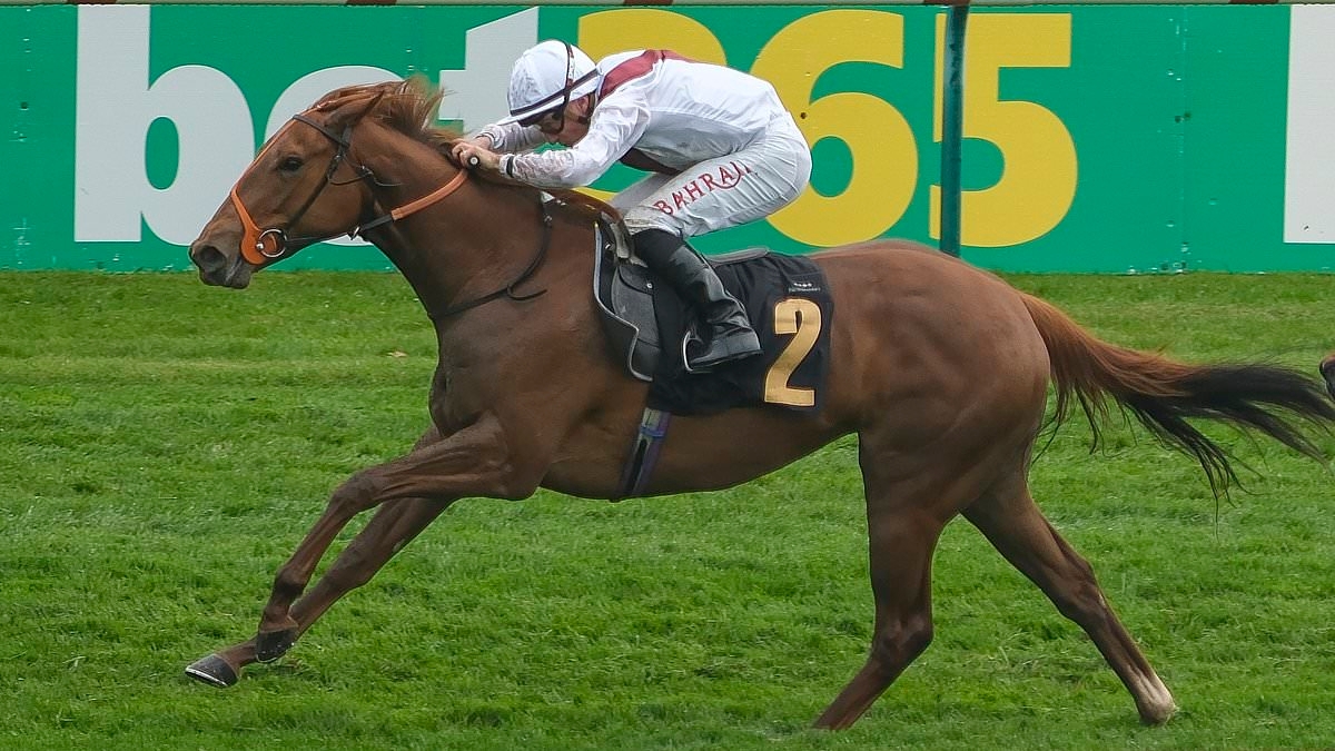 BREAKING NEWS Tragedy as Royal Ascot horse Harry's Girl dies seconds into opening race of day two