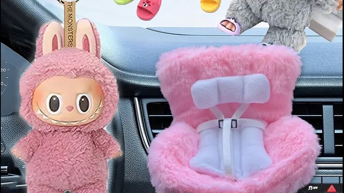 Labubu obsessed? We found the 8 wildest accessories from car seats to clothing all under $10