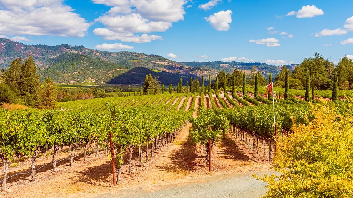 Second biggest alcohol distributor in the US quits California