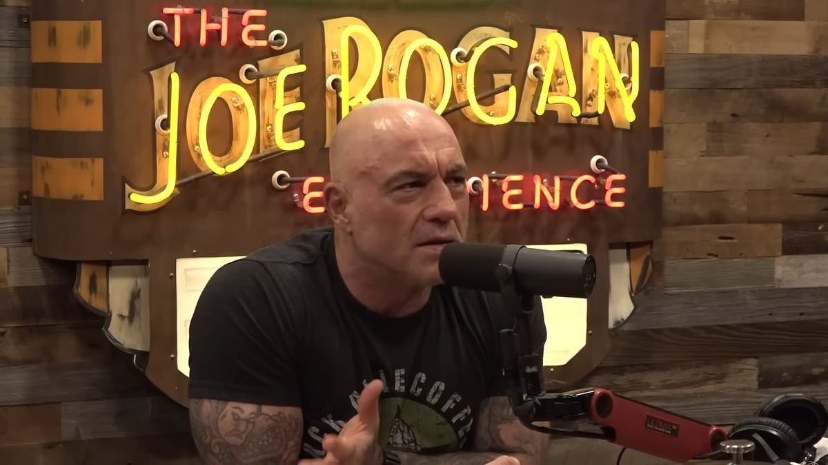 Joe Rogan slams Trump's ICE raids