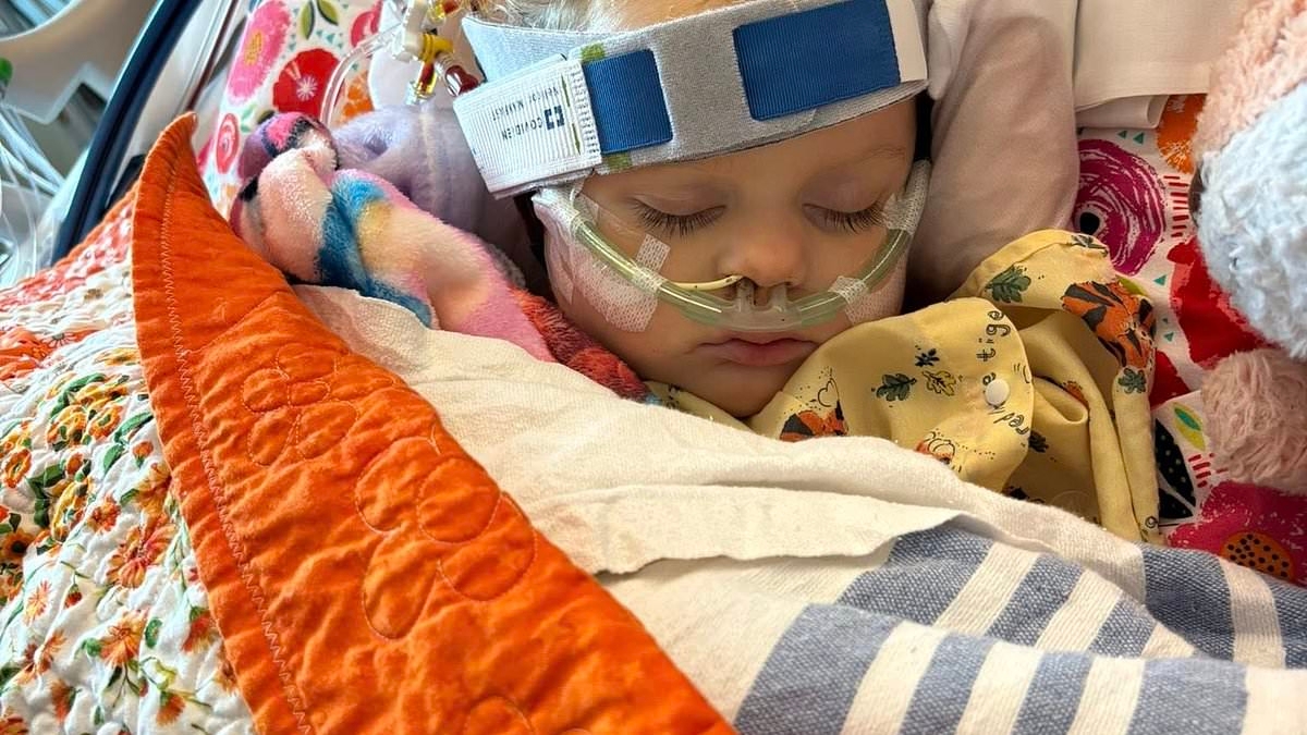 Girl, 2, on life support after unseen danger infected her during family trip to pretty lake