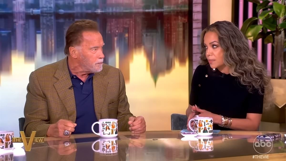 Hilarious moment Sunny Hostin tried to stop Arnold Schwarzenegger from telling migrants to be grateful to US