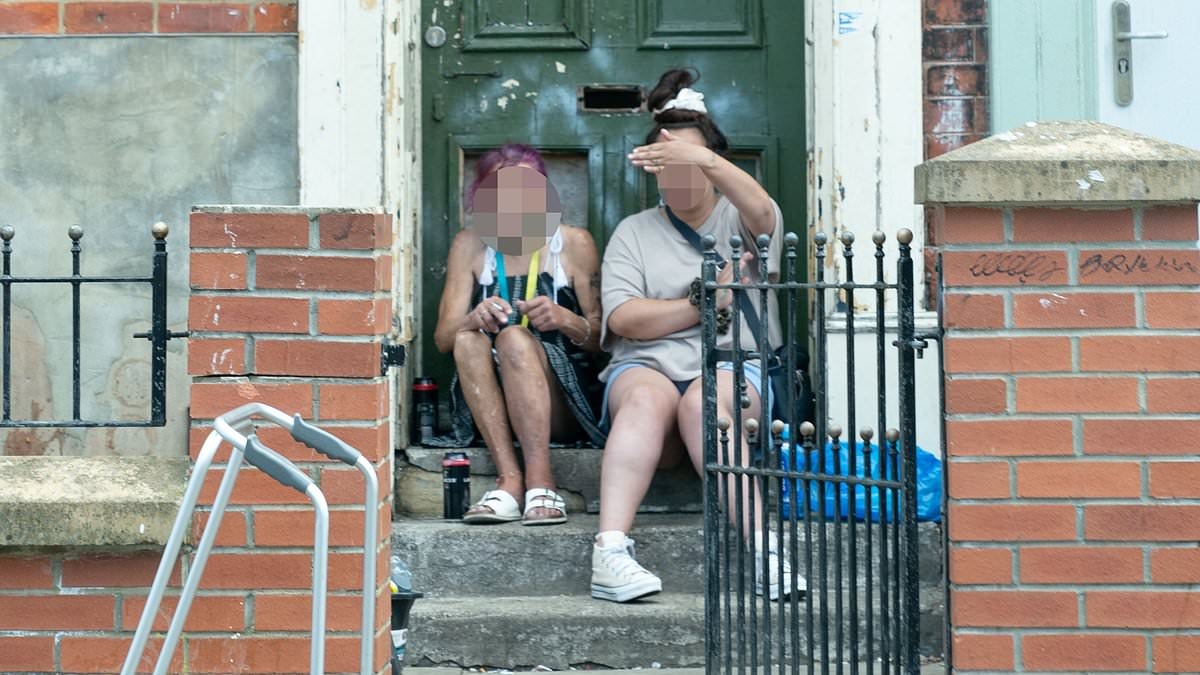 EXCLUSIVE Life on the once respectable middle-class street now ravaged by crime and drugs... where house prices have plunged by SEVENTY PER CENT