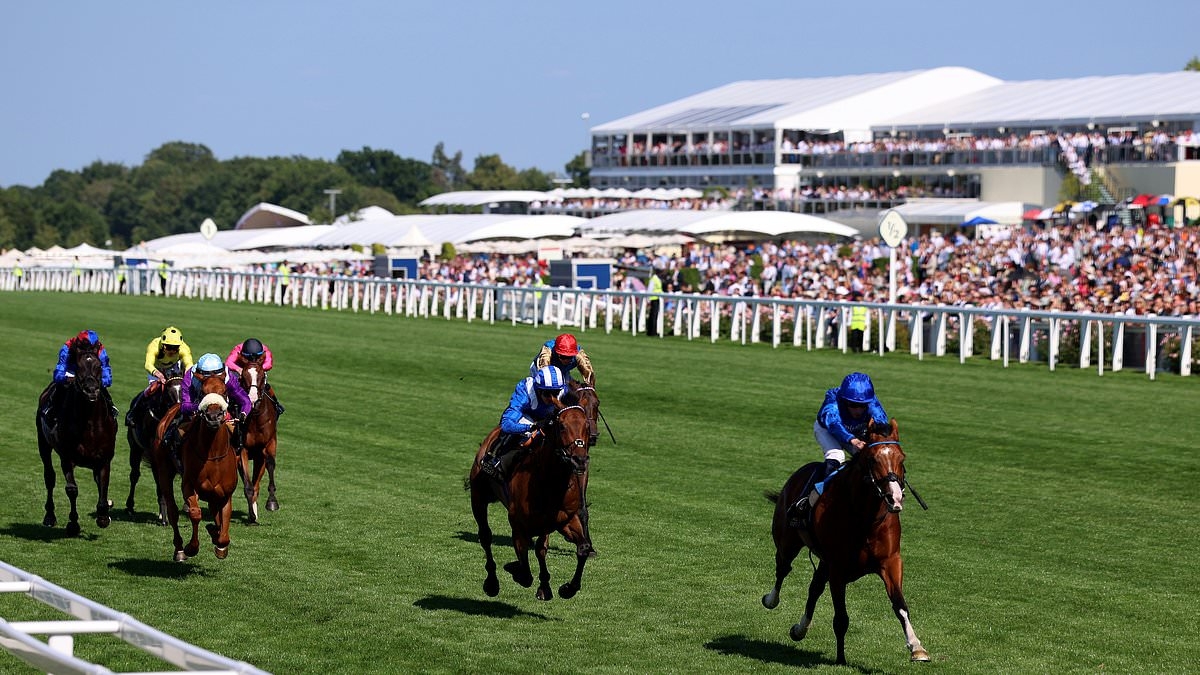 Robin Goodfellow's racing tips: Best bets for Thursday, June 19