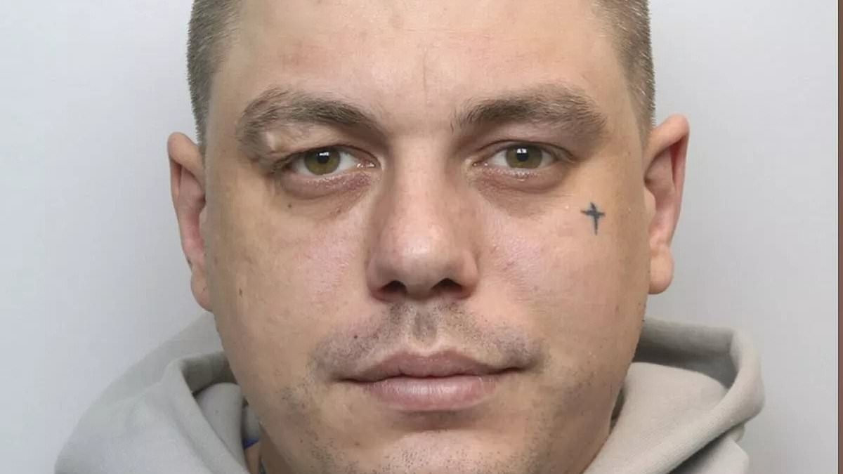 Drug mule, 31, who had £120k of cannabis in suitcases told airport security 'I've got weed' after flying in from Thailand