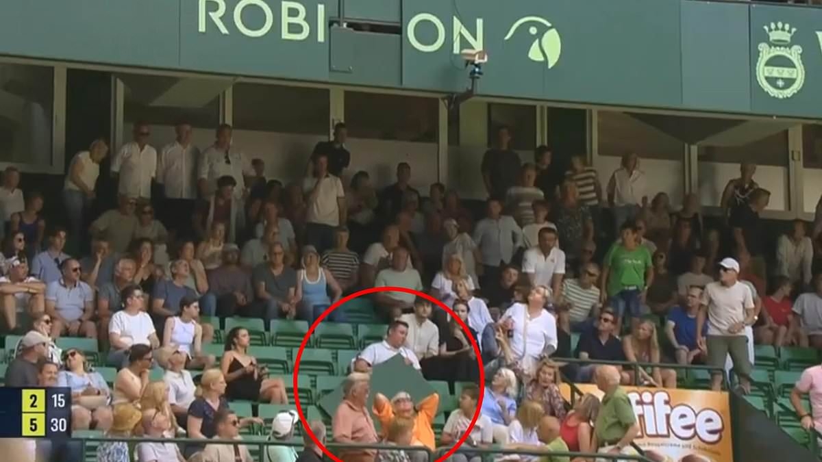 Female fan, 62, taken to hospital after advertising panel collapsed on her during Alexander Zverev match - as German star comes to her aid