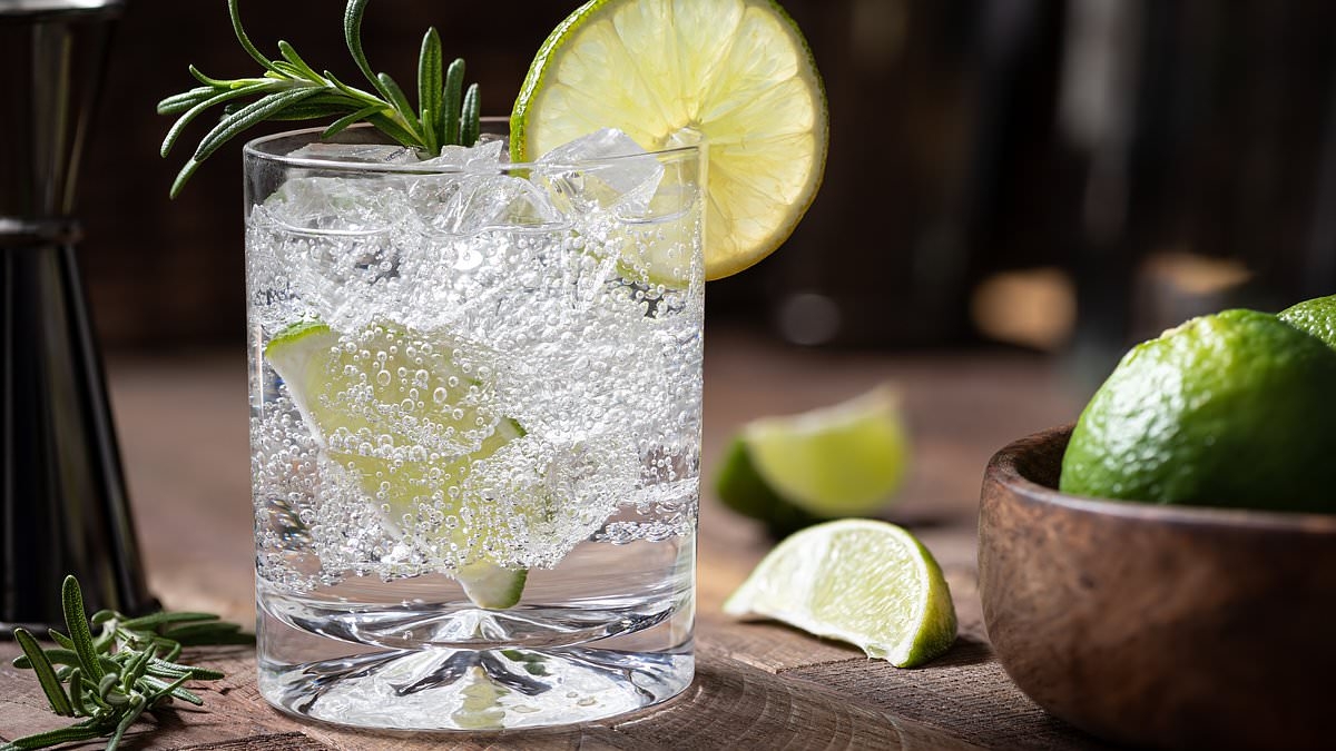 Climate change is coming for your G&T! Global warming could change the taste of gin, scientists warn