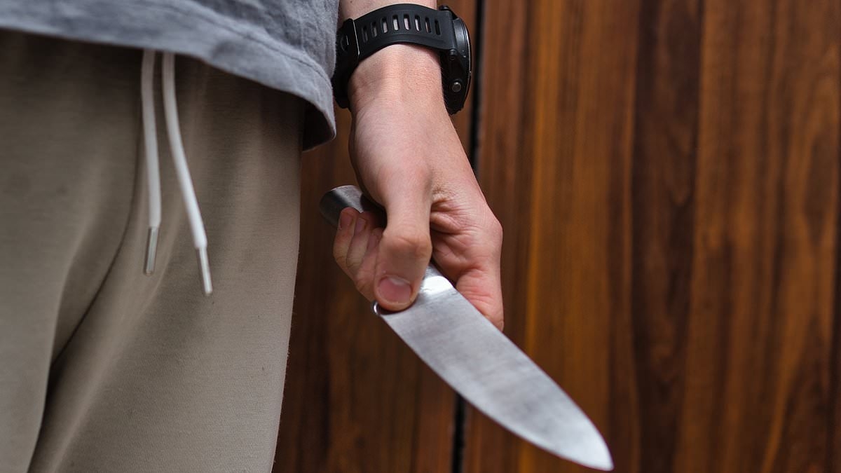 EXCLUSIVE I got recruited by a county lines gang when I was just nine-years-old - I saw friends kidnapped and was repeatedly threatened with guns and knives - but I never thought I was being exploited