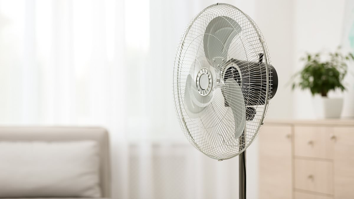 You're using your fan wrong! Expert reveals why you should point it OUT the window to stay cool