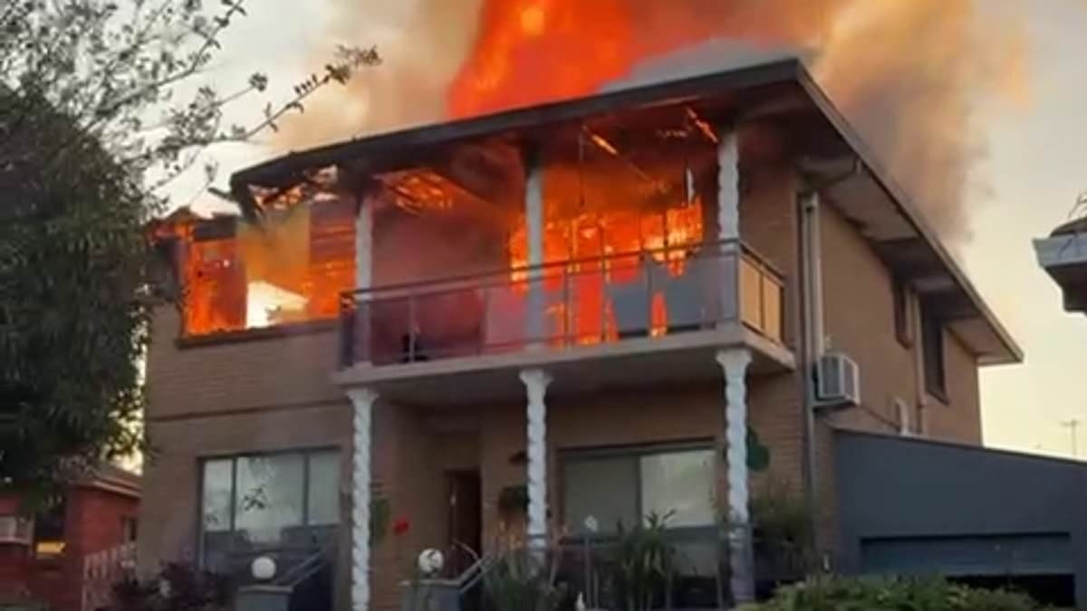 EXCLUSIVE Wild moment brave tradie rushes to rescue woman from raging inferno engulfing her suburban house - and how she wanted to do the unthinkable