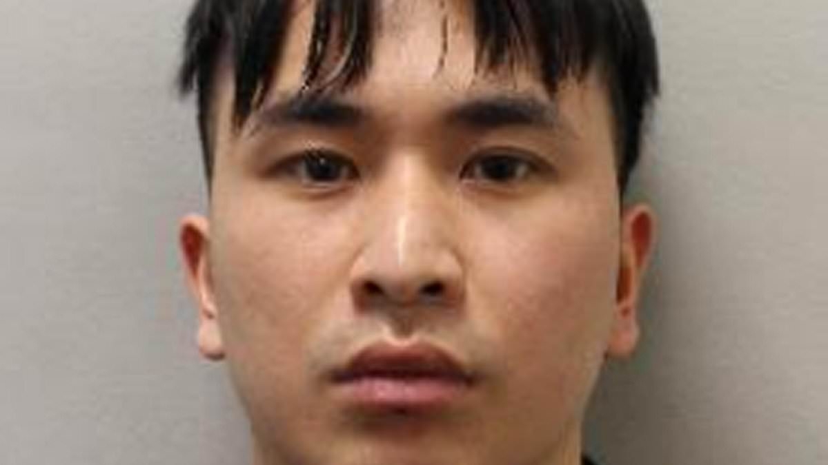 Chinese PhD student who drugged and raped 10 women asked to be chemically castrated in bid to avoid jail time