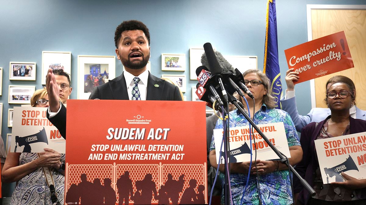Leftist congressman puts forth radical plan to solve migrant issue