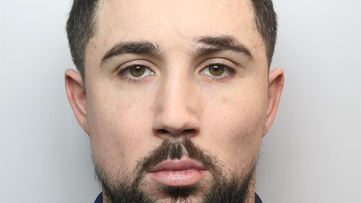 Rolex-wearing drug dealer dubbed 'Albus Dumbledore' who sold 'tropical, gelato and banana' cannabis is jailed