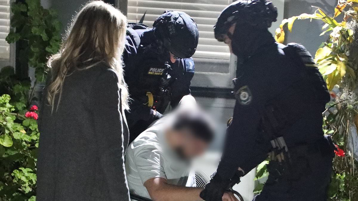 Why we can't picture or name three of the four teenage males accused of gang raping a girl in Sydney