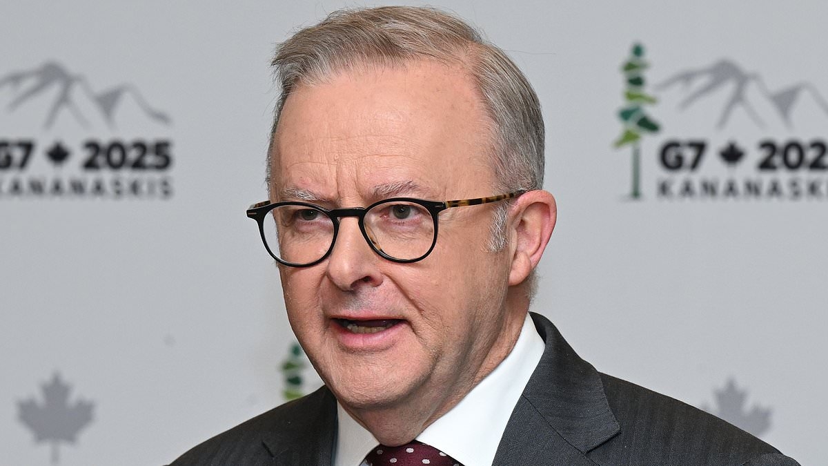 Is this why Trump still hasn't met Anthony Albanese? Shocking details emerge about Albo's big fail while overseas
