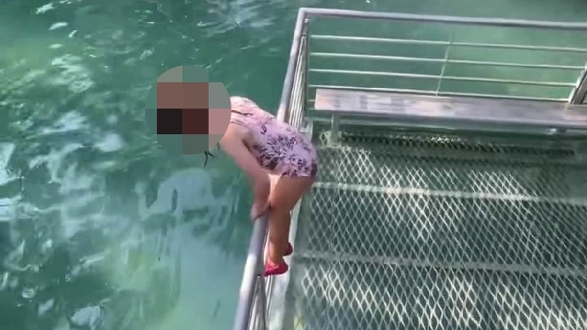 Couple slammed for letting kids play dangerously close to crocodile infested waters in Darwin