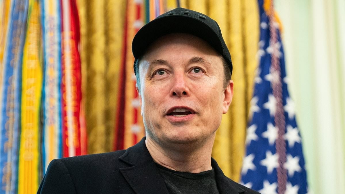 Elon Musk blames 'snake' White House aide for rift with Trump