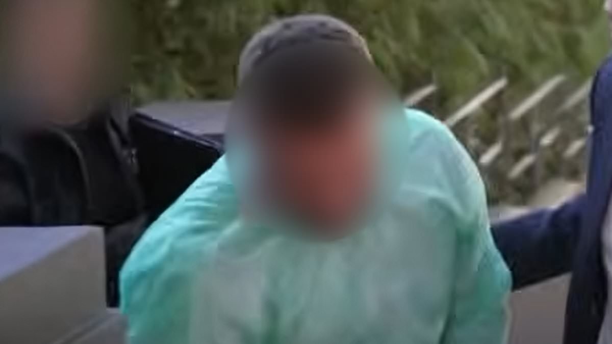 Police carry out dramatic cocaine drug raid in Double Bay while dressed as tradies