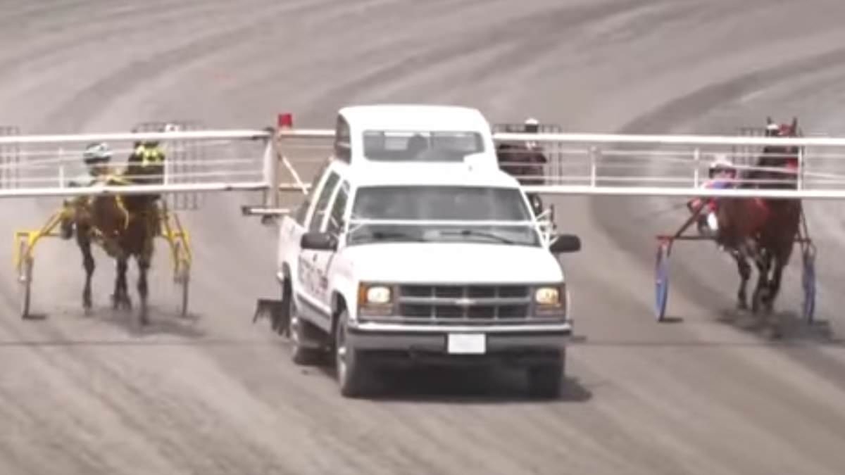 Chilling footage emerges after boy, 3, is killed in 'tragic accident' at horse racing event in Canada