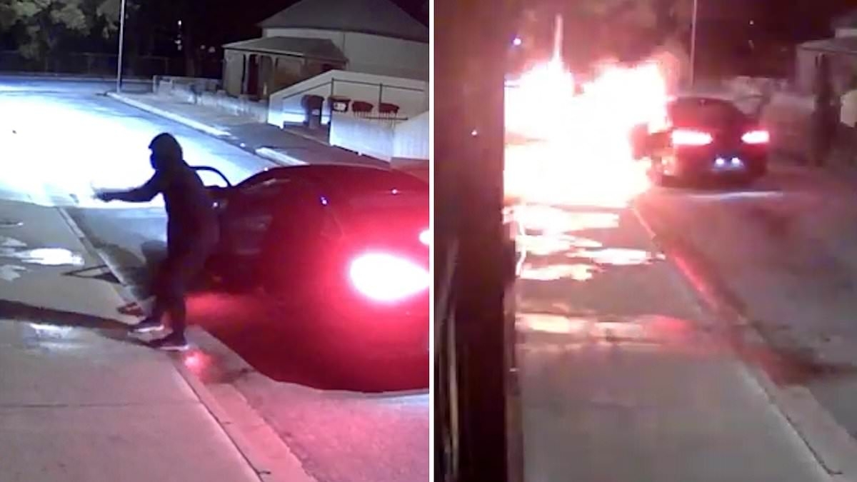 Instant karma! Moment aspiring 'arsonists' set their getaway car ABLAZE after trying to set house on fire