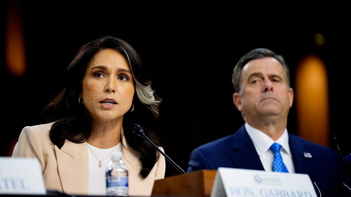 EXCLUSIVE 'He's calling her': Tulsi Gabbard allies say 'Deep State' hit job designed to torpedo her with Trump as he ponders war